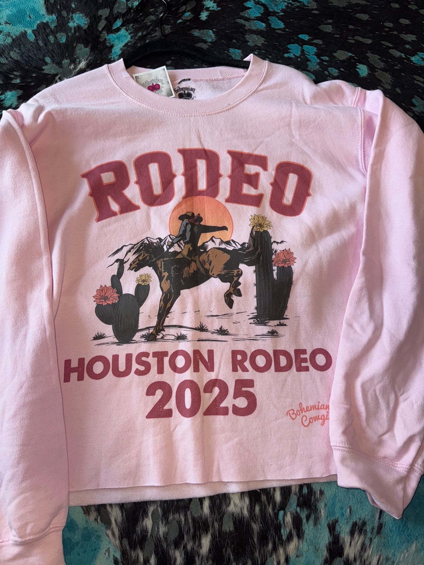 RODEO HOUSTON RODEO 2025
