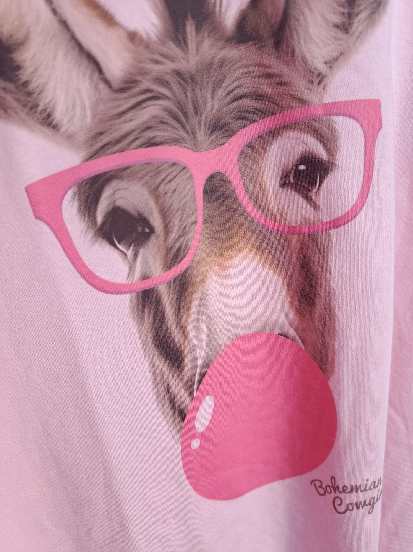 Bubblegum Donkey Long Sleeve Shirt