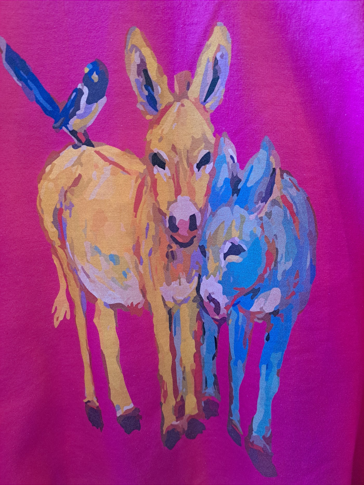 Watercolor Donkey Sweatshirt