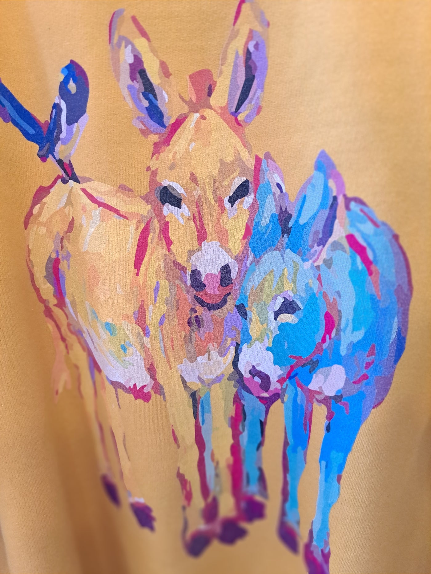 Watercolor Donkey Sweatshirt