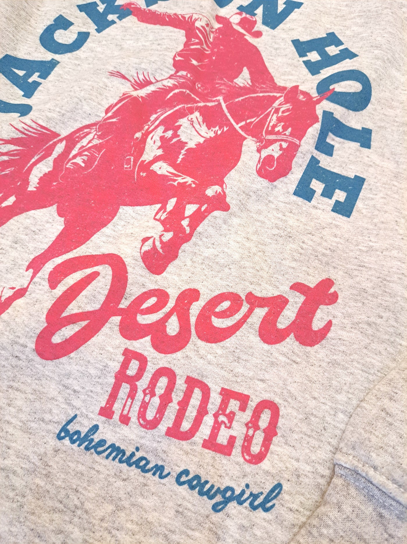 Jackson Hole Desert Rodeo Sweatshirt